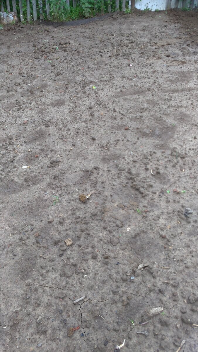 После дождя