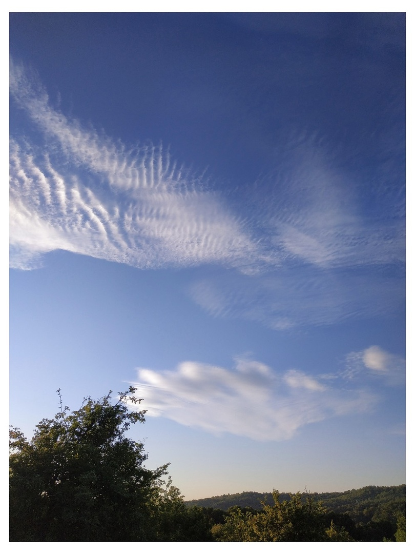 фото Инессы Ковалёвой