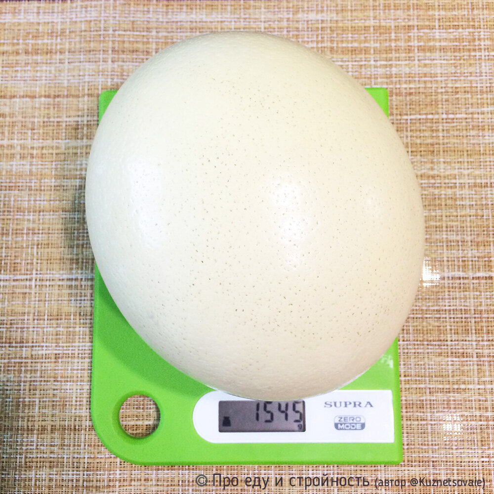 Сколько весит яйцо куриное без скорлупы вареное. Вес страусиного яйца. Вес яйца страуса. Яйцо страуса размер. Страусиное яйцо размер.