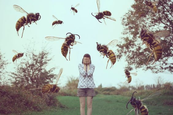Слова, которые жалят... Pinterest.ru