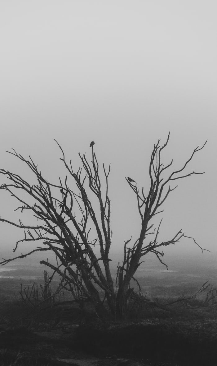 Изображение взято с бесплатного фотостока https://unsplash.com указание автора не требуется