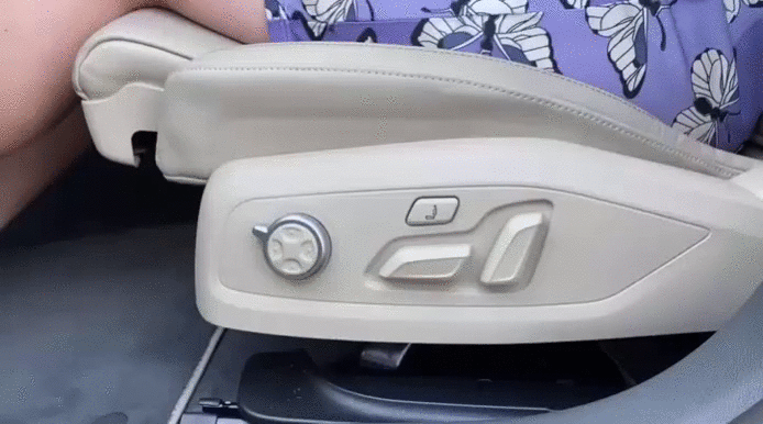 В салоне Audi A5. Лиса Рулит