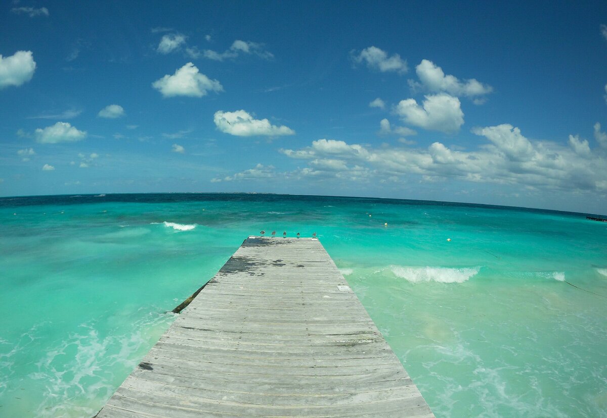 Чайки неЧёрного моря