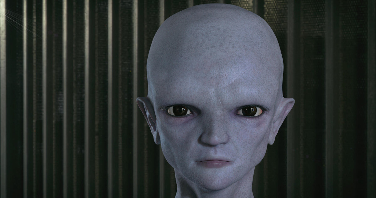 Предполагаемая внешность