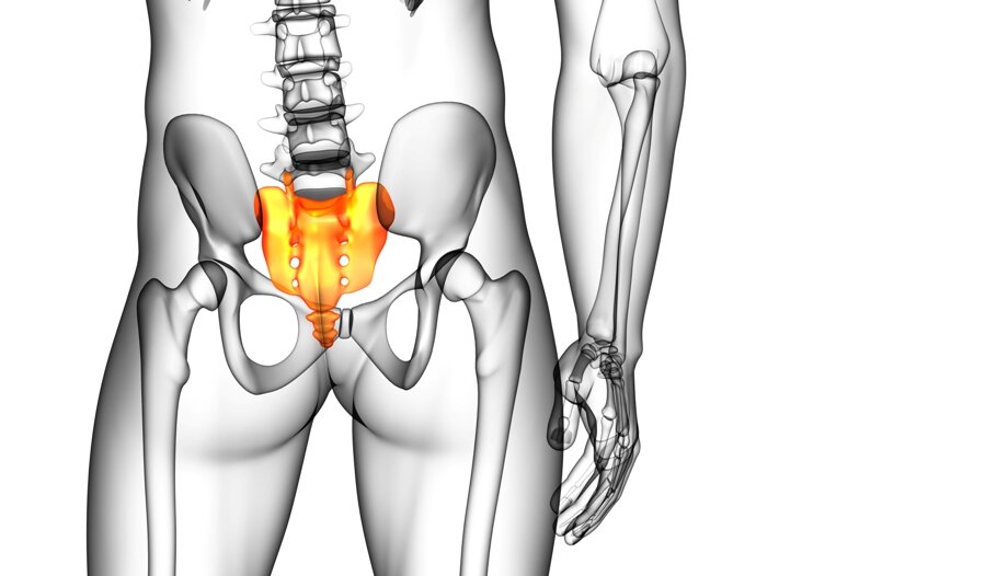 Болят бедра у мужчины. Крестцово-копчиковое сочленение. Крестец и таз. Копчик анатомия. Крестец и копчик.