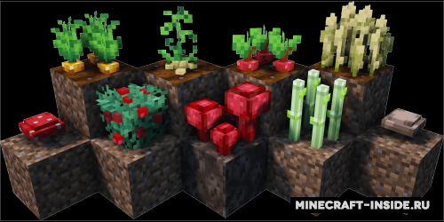 https://minecraft-inside.ru/resource-packs/125225-crops-3d.html