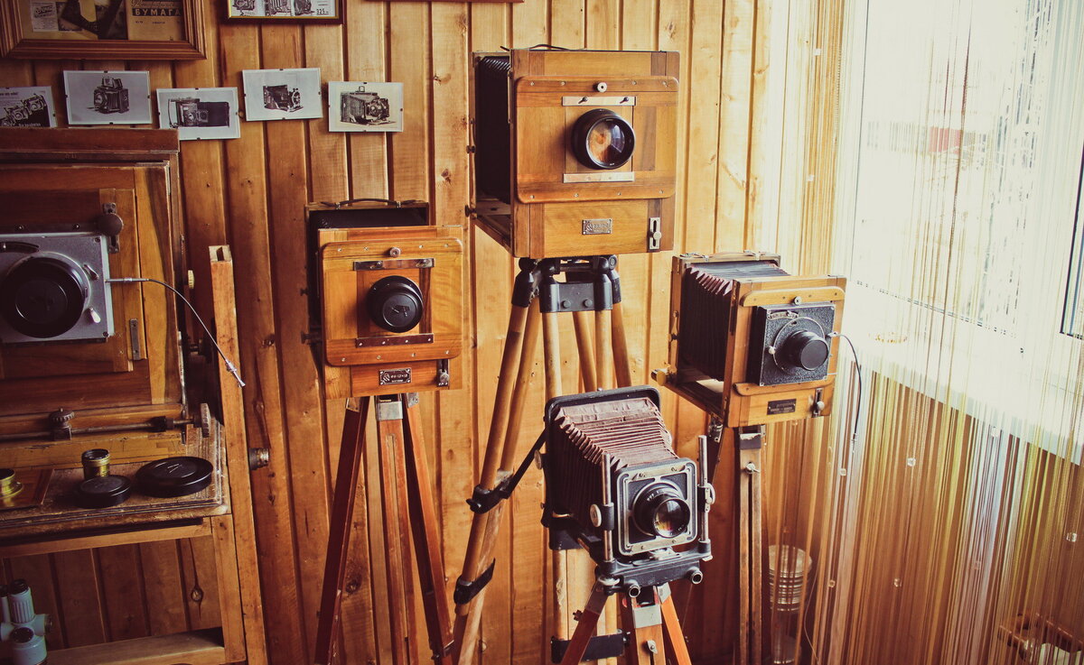 Яндекс картинки 