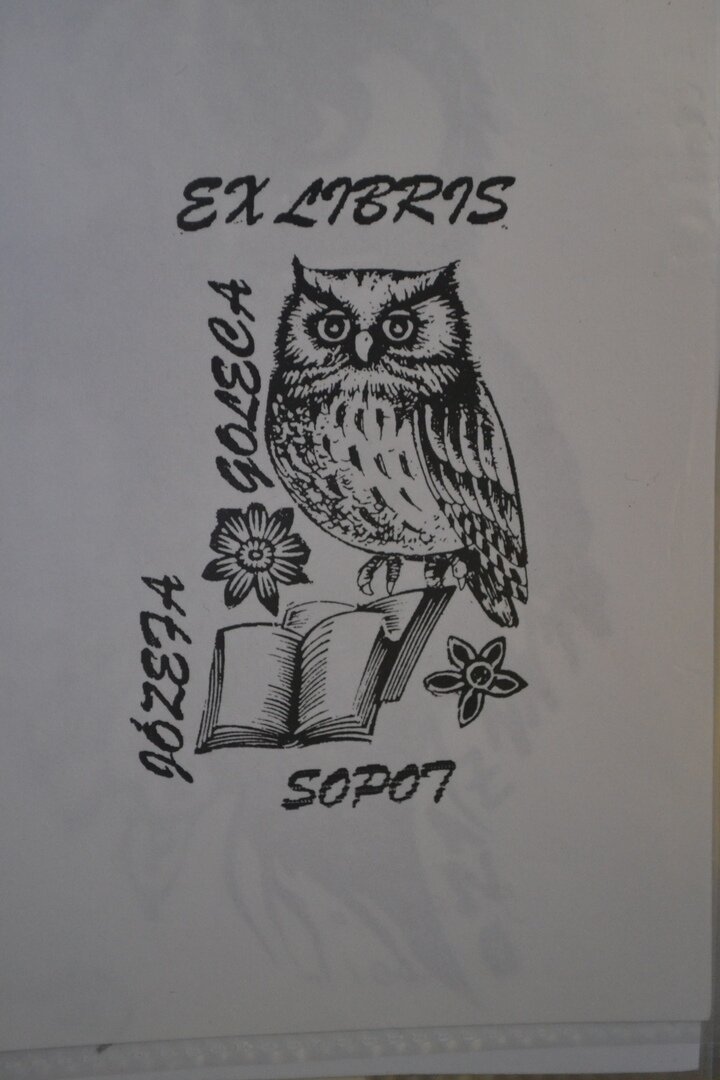 Y. Sapiro