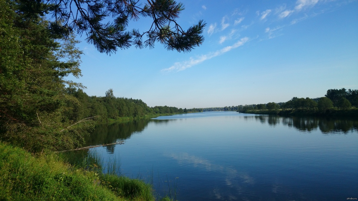 река Медведица