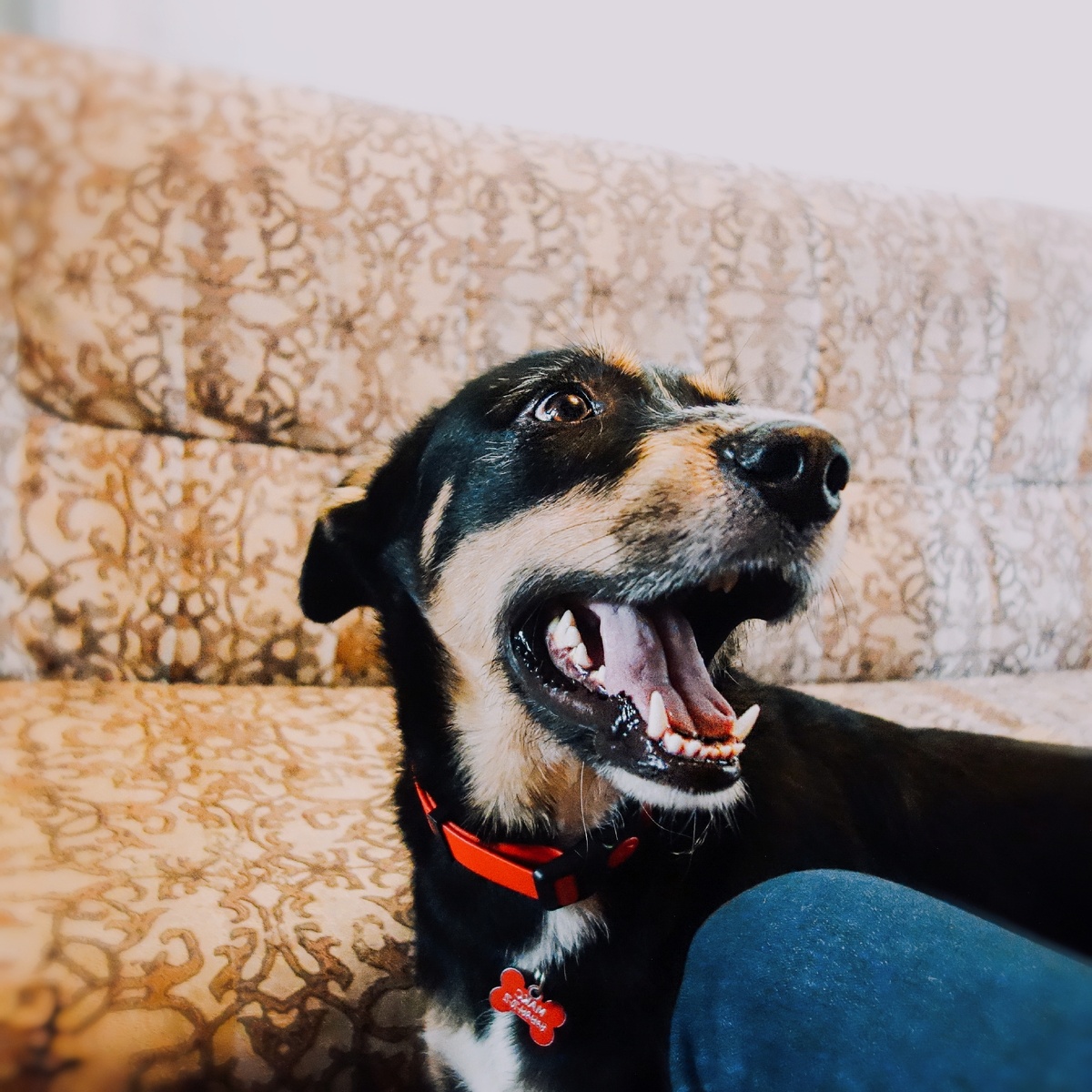 Фото из личного архива