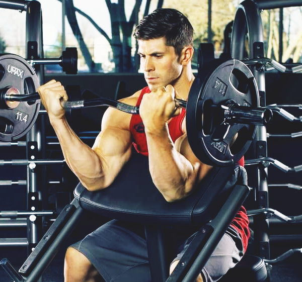 Подъём штанги на Бицепс на скомье скотта