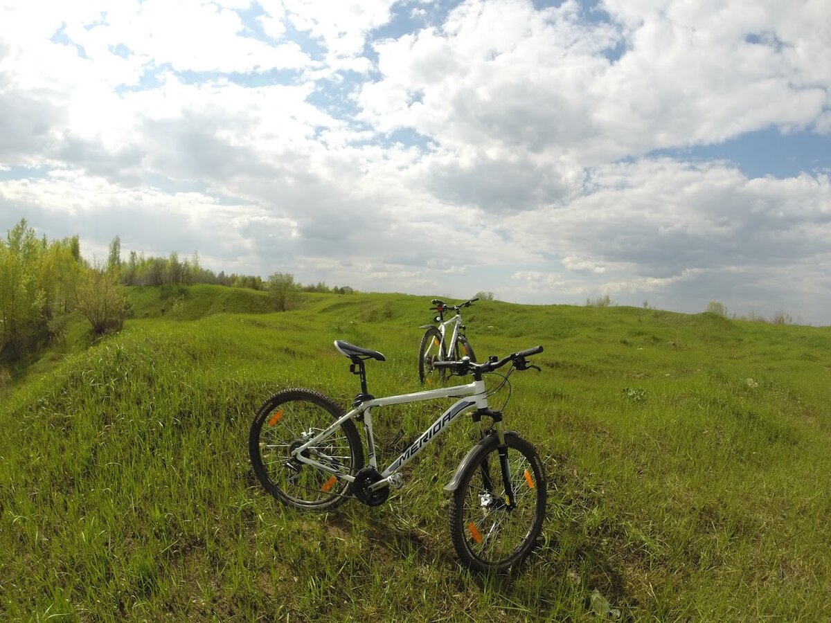 Поле - место где у меня нет страхов
