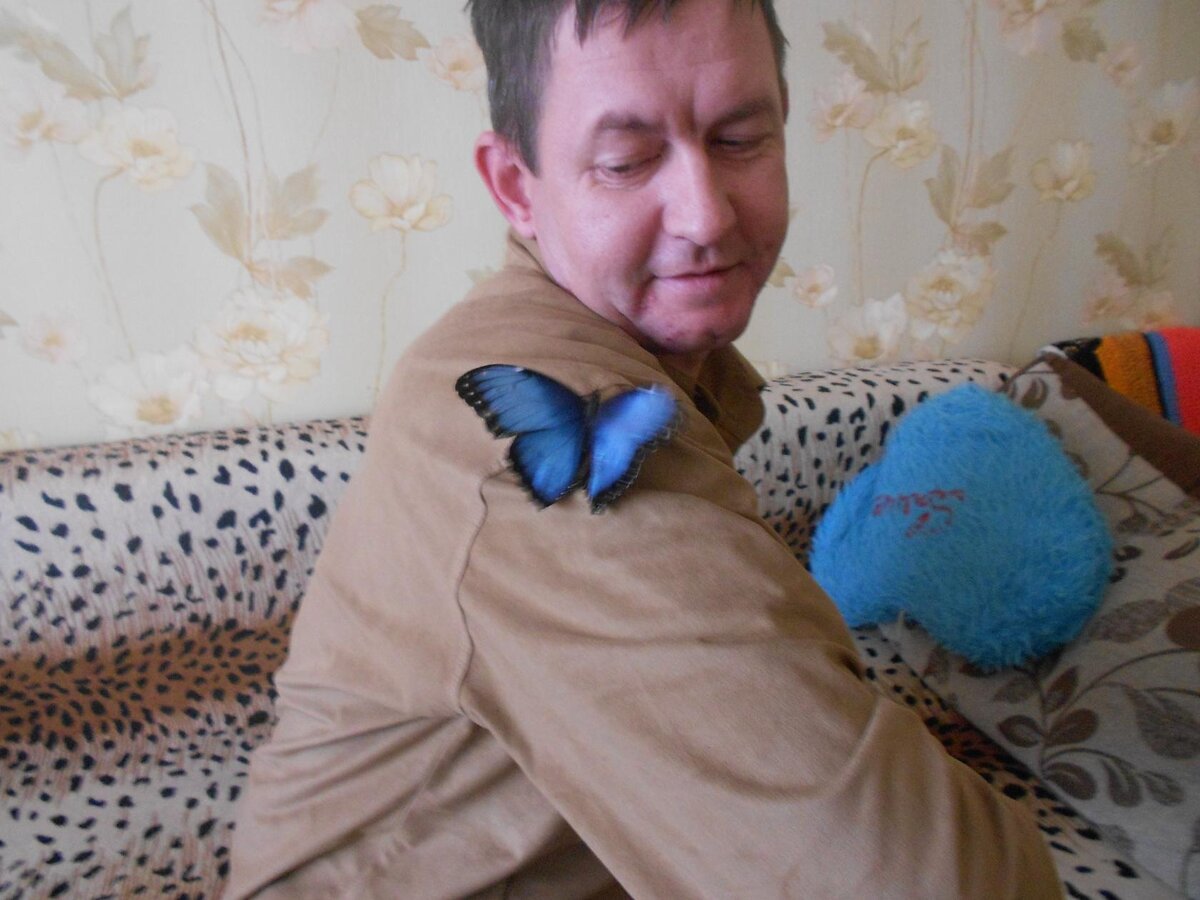 Я и живая бабочка - синяя Морфо