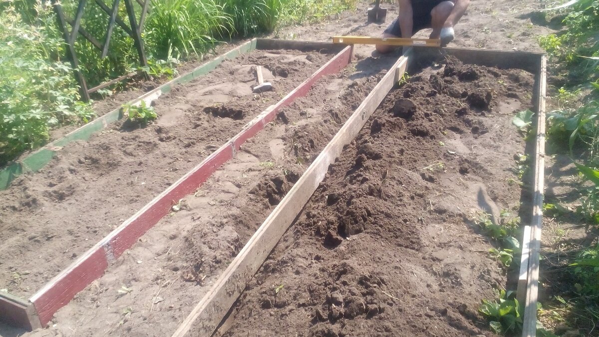 Немецкие грядки. Фото автора 