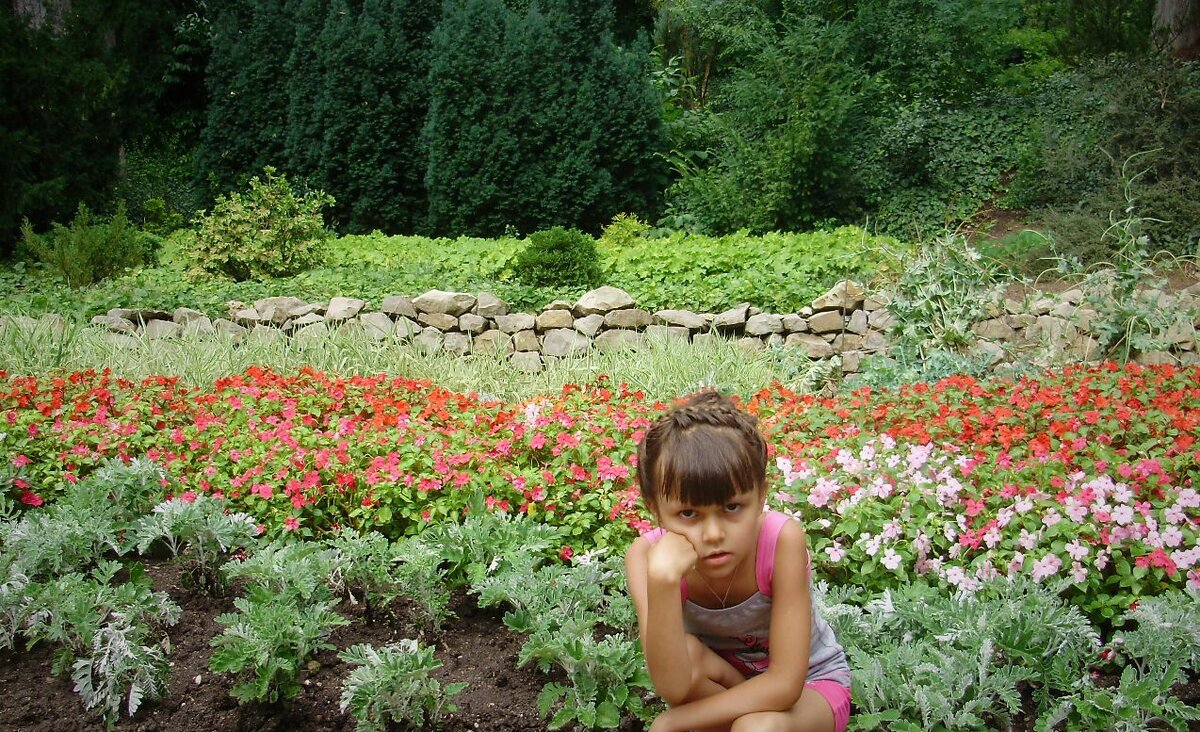 В июле и августе яд у пчёл самый концентрированный. Фото из личного архива