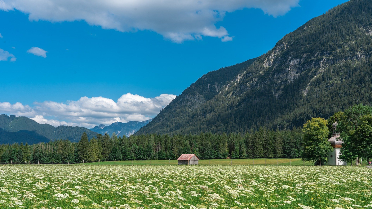 Одинокий дом