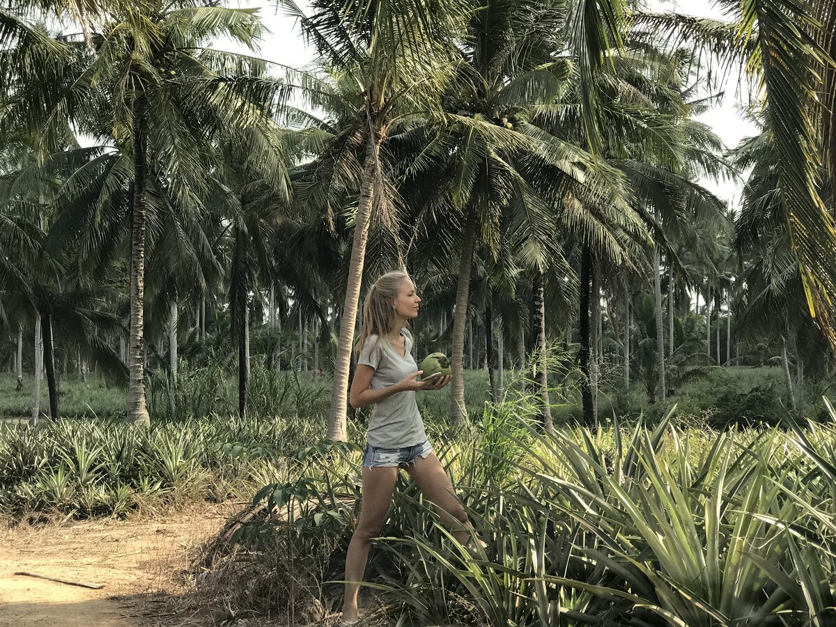 В ананасовых полях🍍🍍🍍