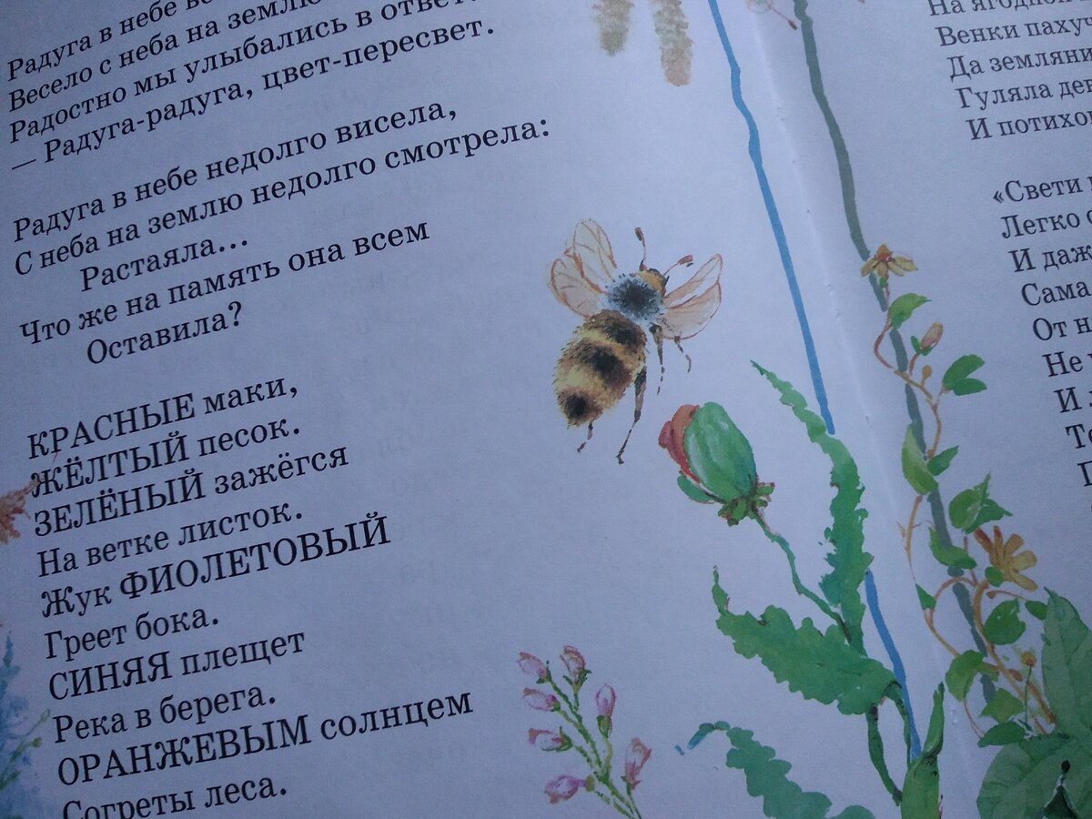 книжка с чудесными иллюстрациями, покупала давно, ещё для старшей.