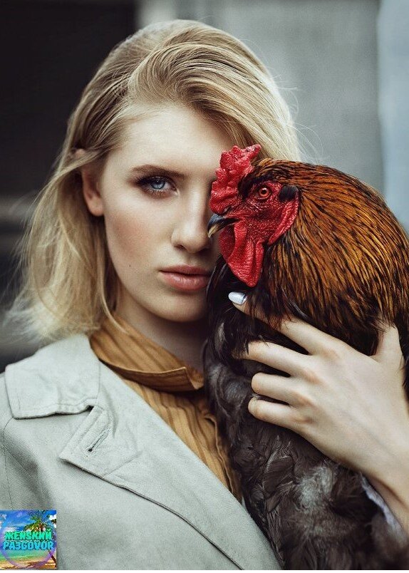 Фото добавлено с Яндекс.картинки