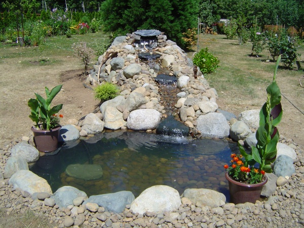 Маленькие водоемы в саду. 20 фото-идей для вашего вдохновения