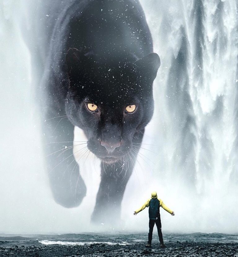 Ворота 29 Настойчивости