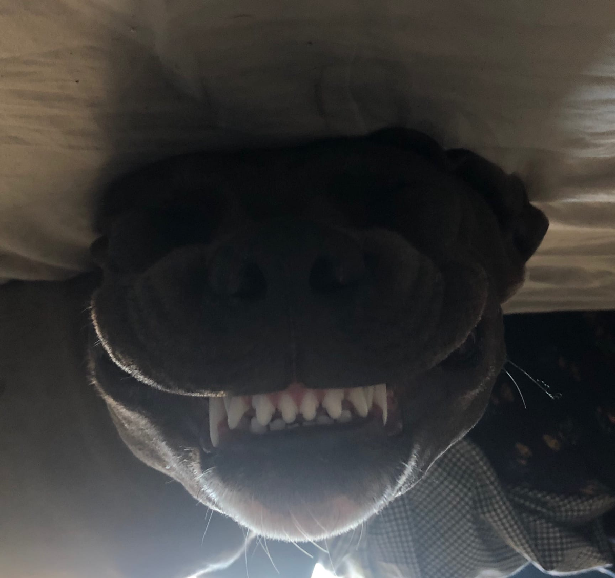 фото из личного архива