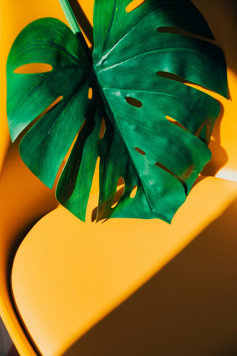 Photo by KOBU Agency on unsplash.com 