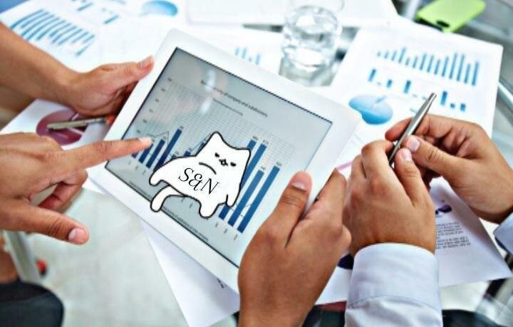 Как вам котик?