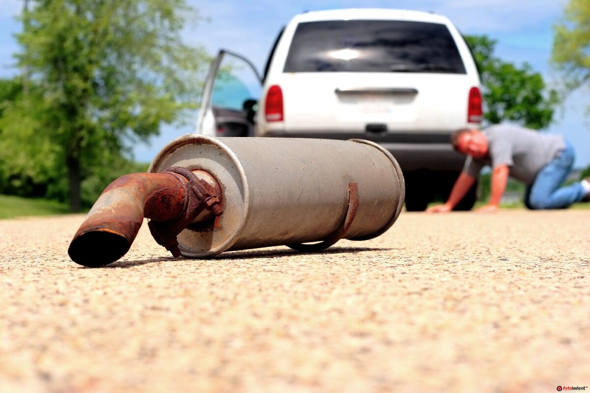 источник яндекс фото