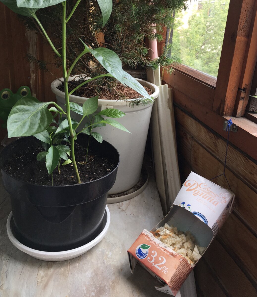 Кормушка для воробушек