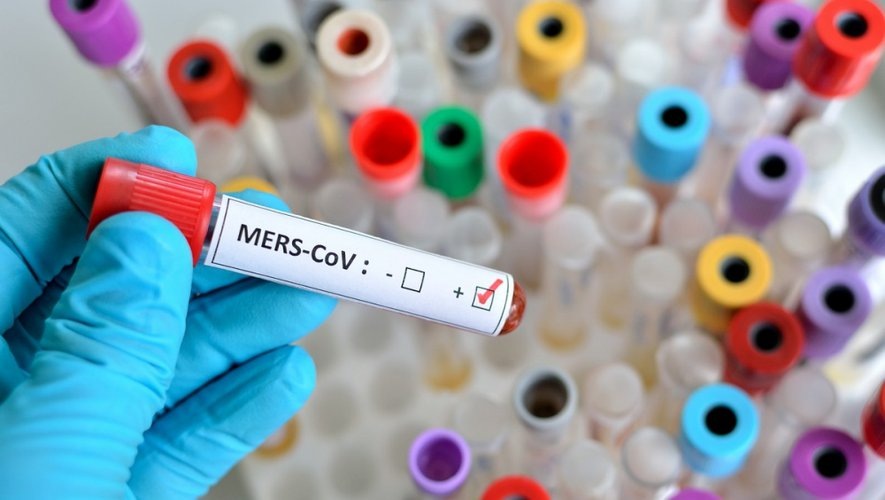 яндекс.картинки