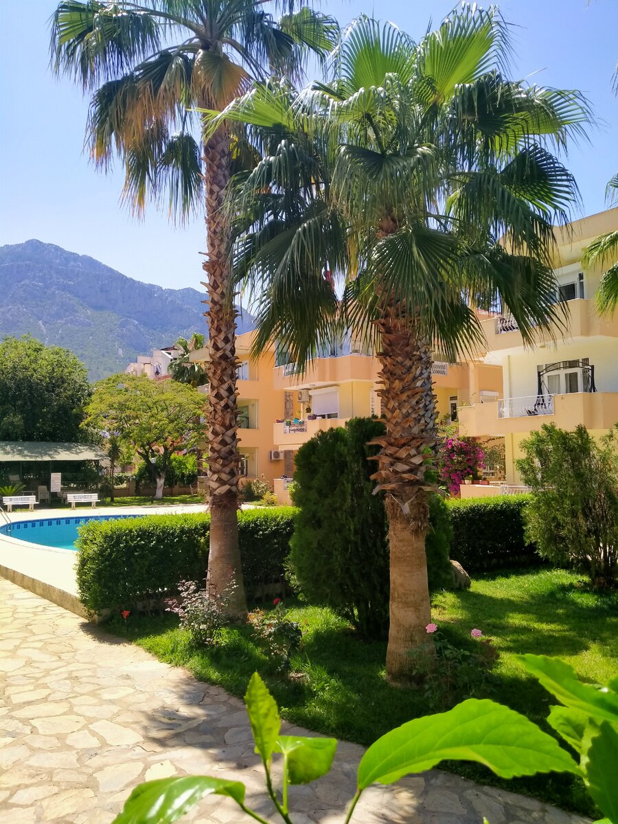 Фото из личного архива.