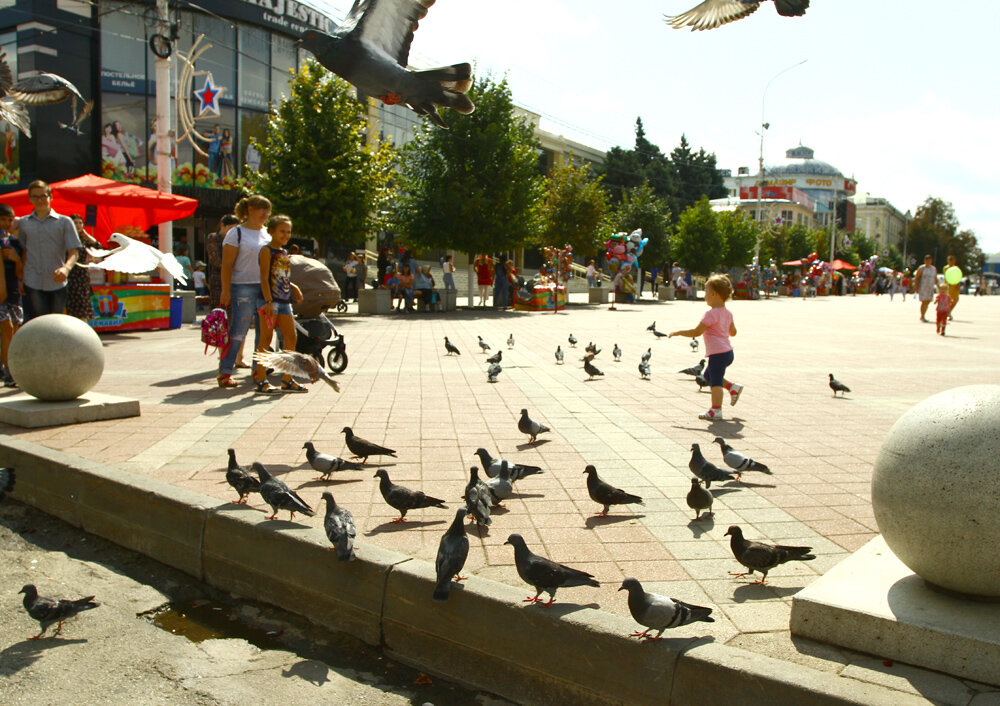 Фото Александра Ковязина / газета «Армавирский собеседник».