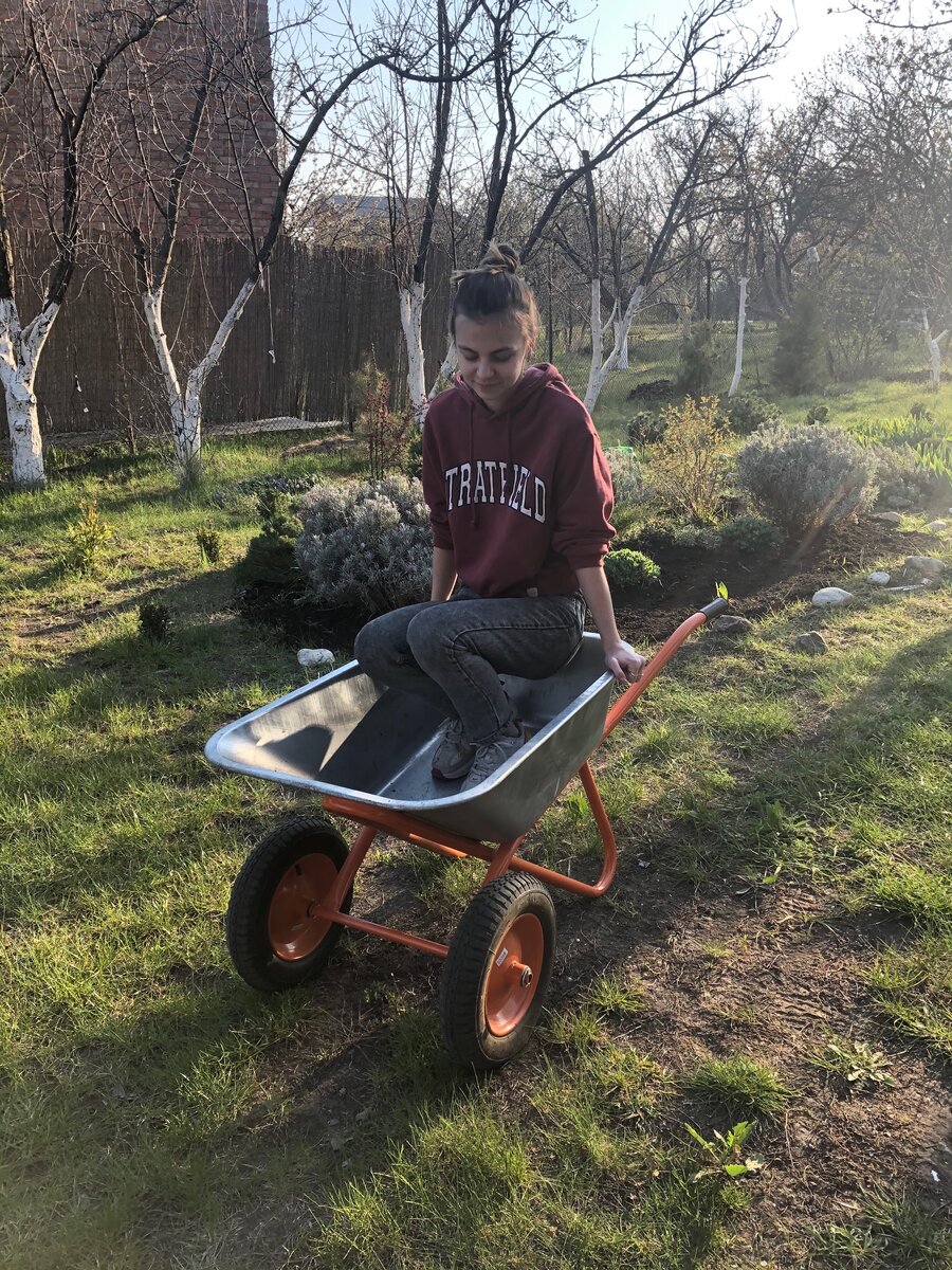 Начало истории, пока в этой тачке катаюсь я, потом 16 тонн земли, которые мы сами выкопали лопатами :)