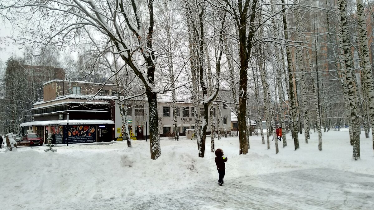 Парк Пушкина в Нижнем Новгороде после реконструкции. Самые свежие фото  (зима 2021) | Нижегородские зарисовки | Дзен