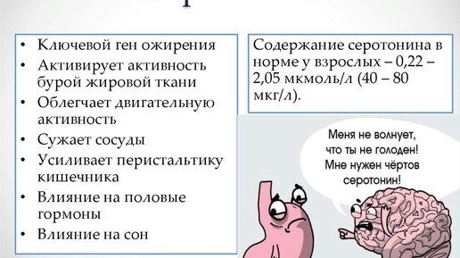 Основные правила питания осенью