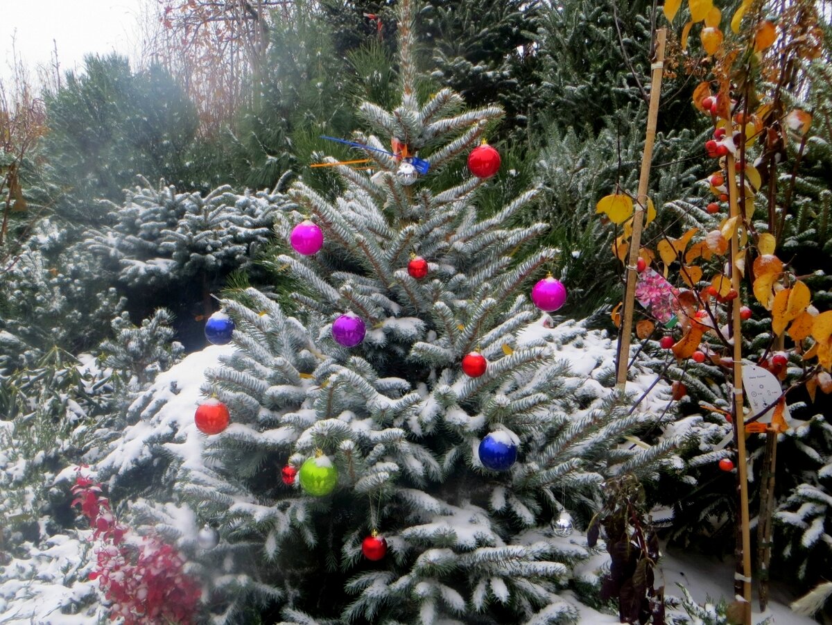 весело, весело !  