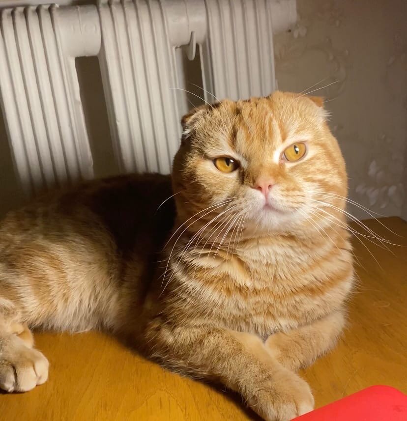 Наш красавчик!