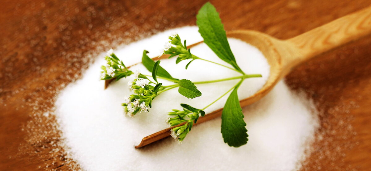 Стевия - натуральный сахарозаменитель. Источник фото - сайт: https://clck.ru/SoAvF 