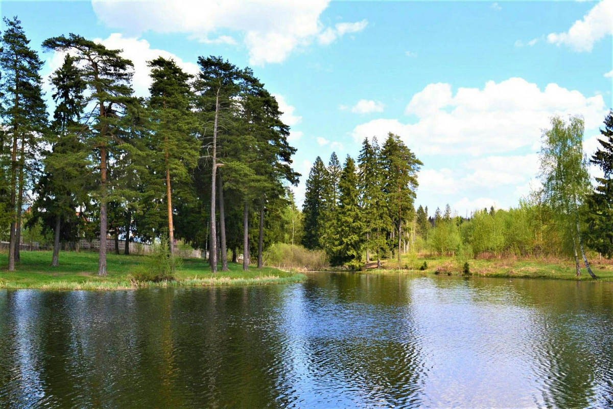 Это не мой район. Изображение из сервиса Яндекс.картинки