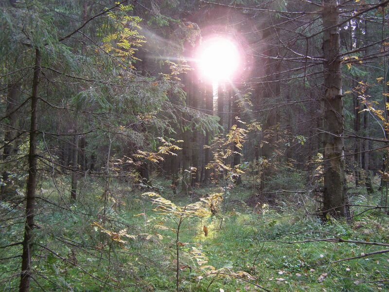 Не от мира сего....