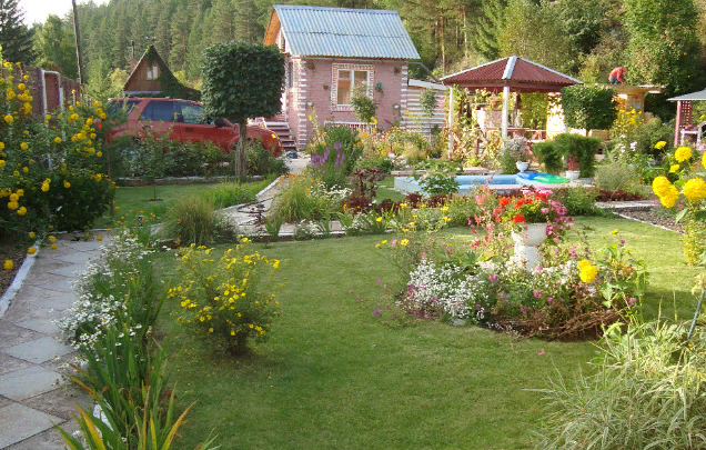 Привыкшие соседи к огородам, на экскурсию ходили к нам...