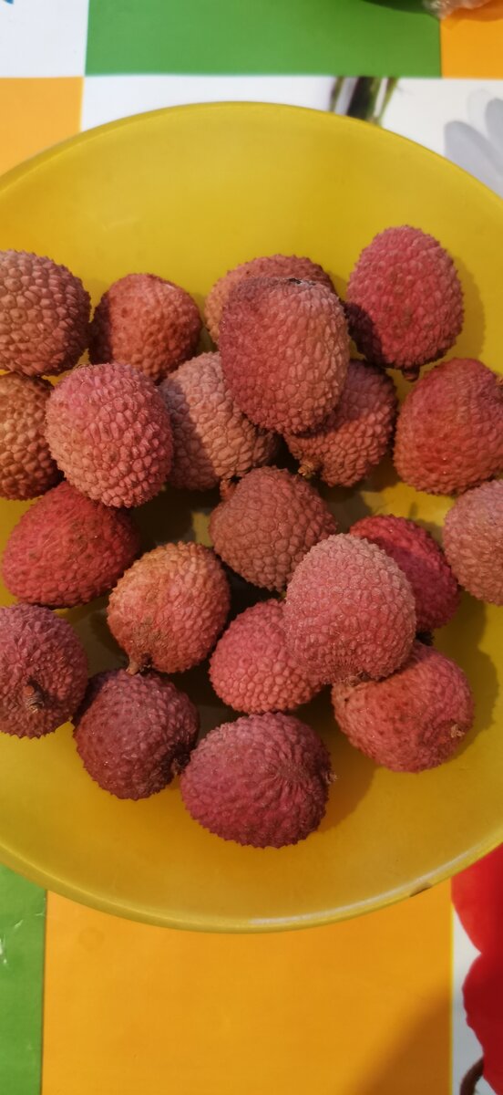 Фото из личного архива 