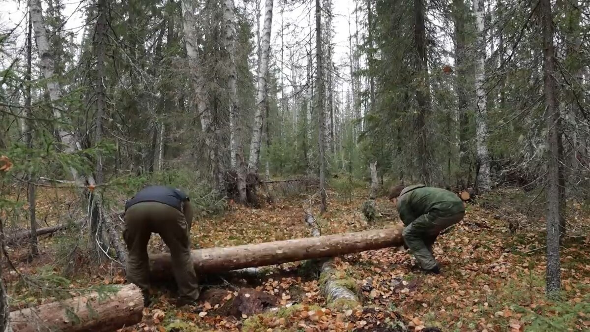 Таскали бревна.