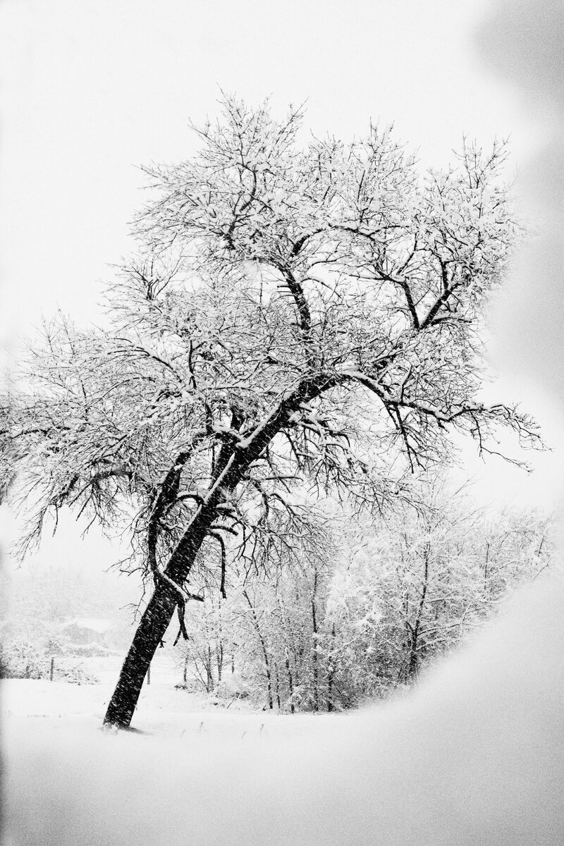 Один из самых снежных дней в Краснодаре