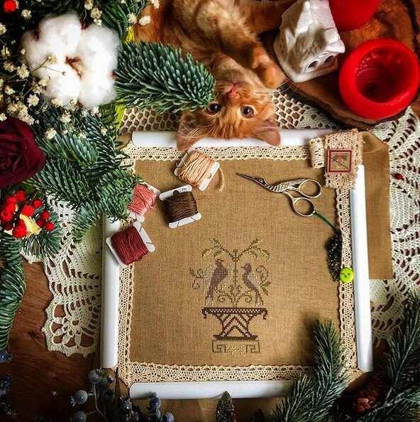 Фото @zelenayapugovica