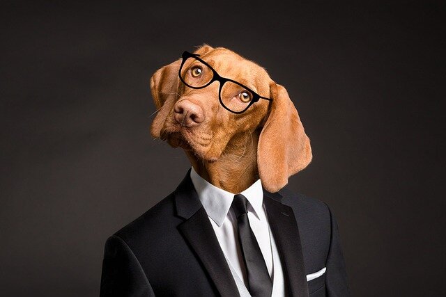 В данном тексте использованы иллюстрации, подготовленные с помощью изображений с Simplified Pixabay License, дающей право на использование и изменение изображений в коммерческих и некоммерческих целях без указания авторских прав.