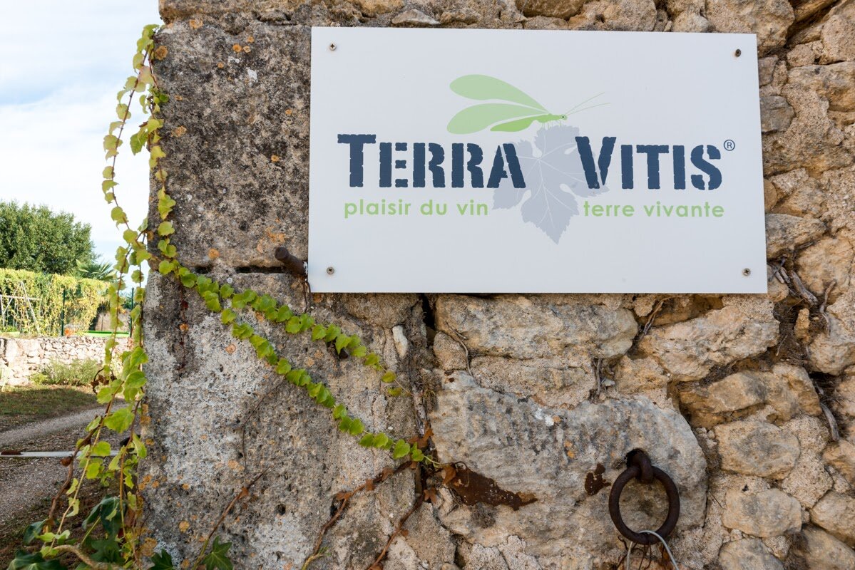  Terra Vitis - технологии  разумного  виноделия