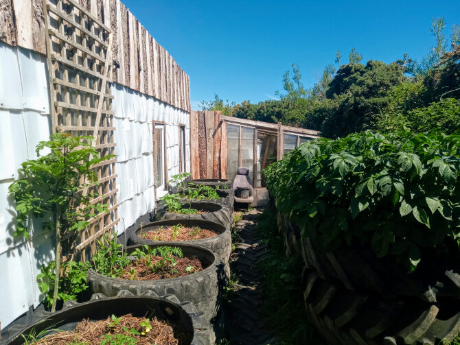 Ферма Мэтью и Чариса Уоткинсон в сельской местности