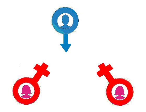 в основном боевиках